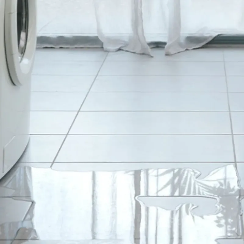 Appliance Leak Cleanup in Wyomissing, PA