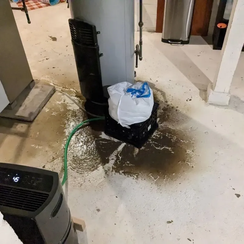 Sewage Backup Cleanup Service in Wyomissing, PA